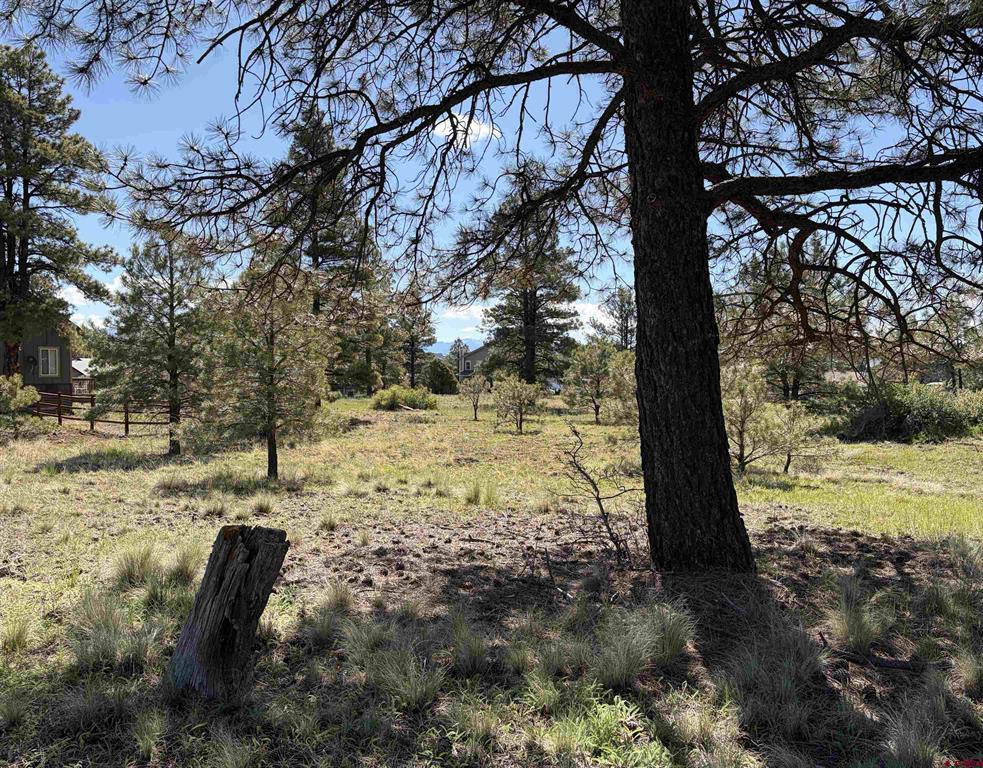 1052 Trails Boulevard Property Photo 4