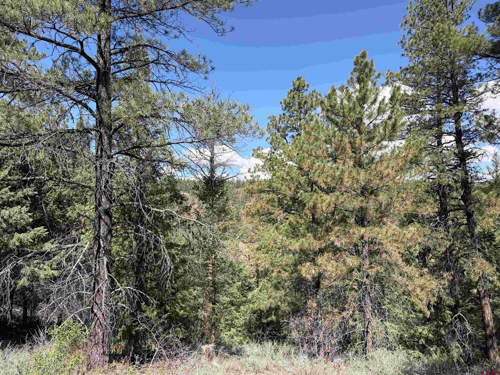 1052 Trails Boulevard Property Photo 16