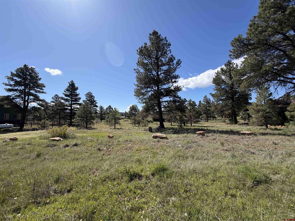 1052 Trails Boulevard Property Photo 19