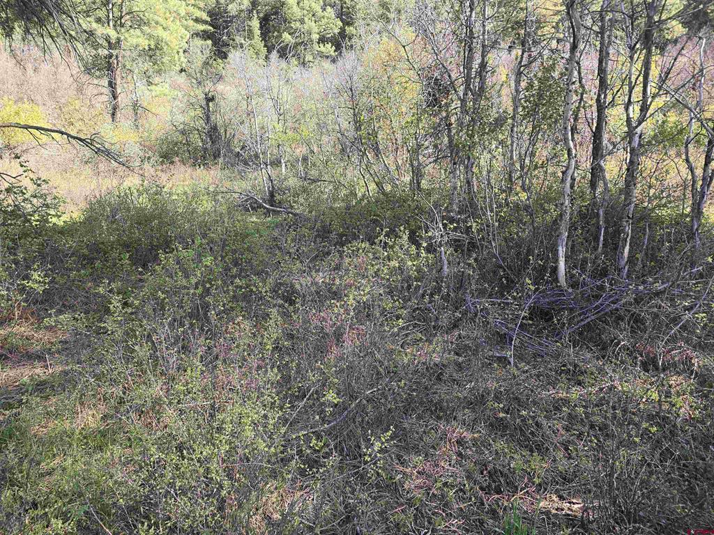 321 River Run Drive Property Photo 6