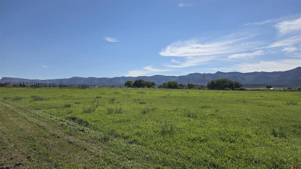 25582 Road H Property Photo 38
