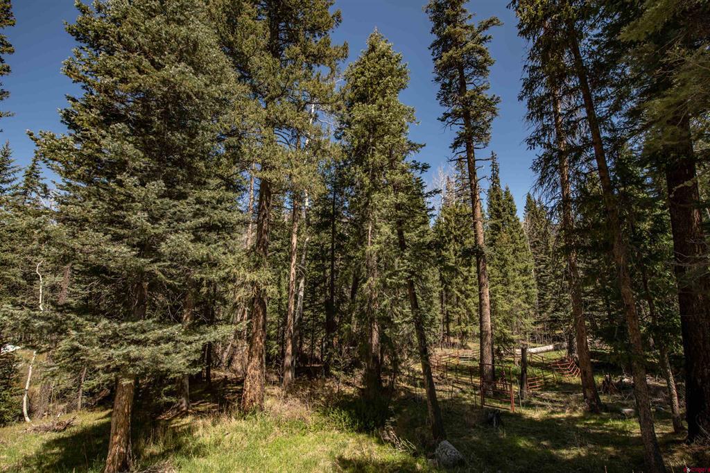 102 Meadowbrook Park Property Photo 7