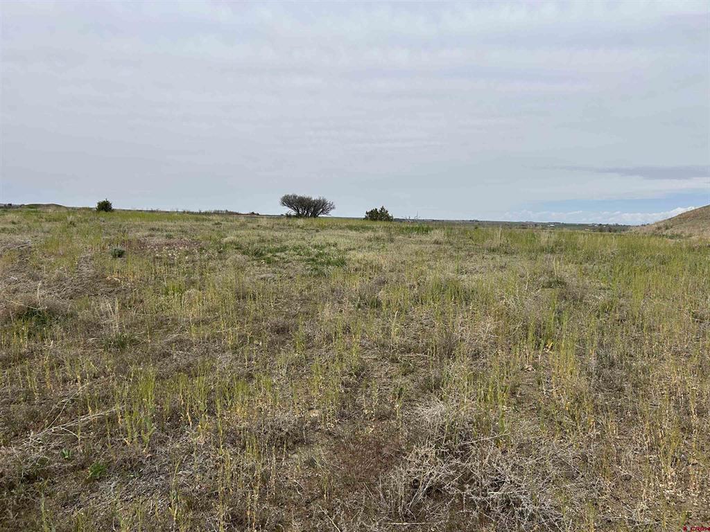Tbd Hwy 184 Property Photo 1