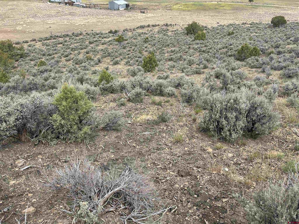 Tbd Hwy 184 Property Photo 2