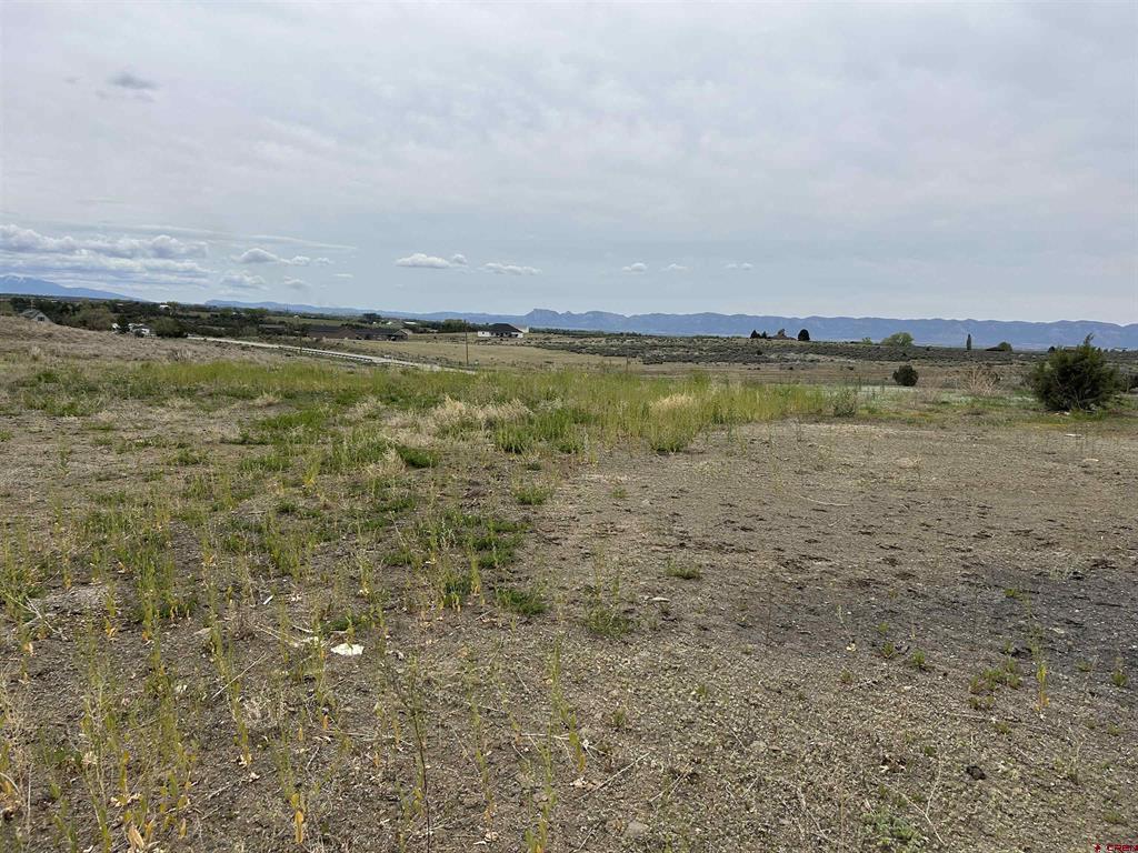 Tbd Hwy 184 Property Photo 4