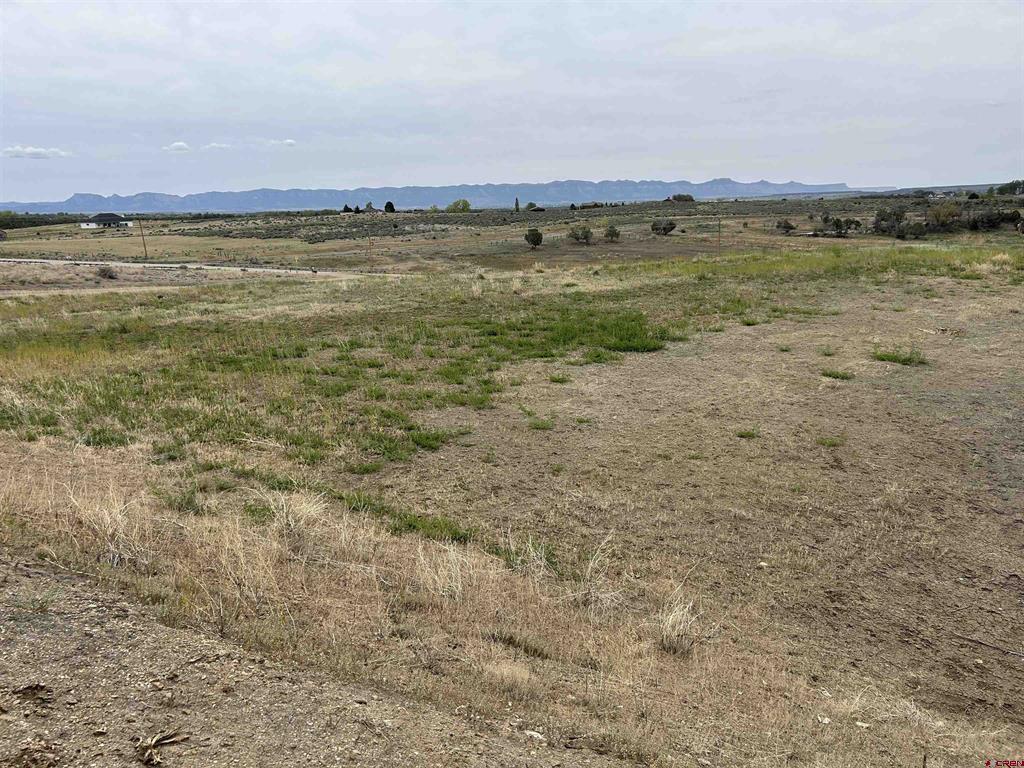 Tbd Hwy 184 Property Photo 5