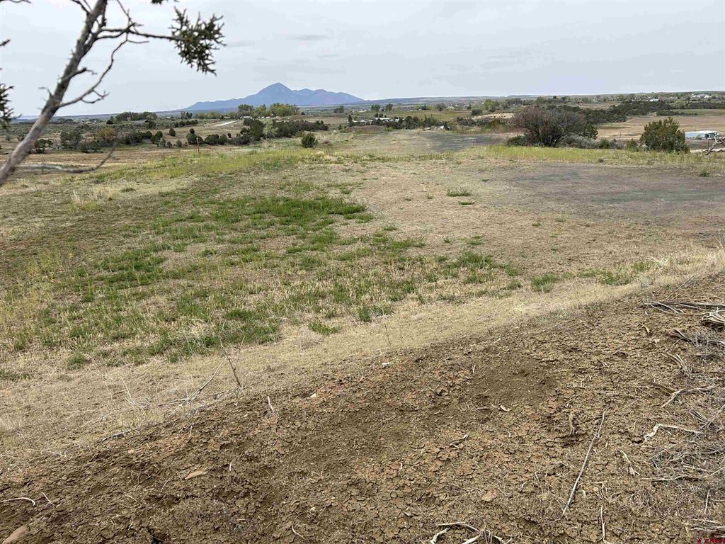 Tbd Hwy 184 Property Photo 6