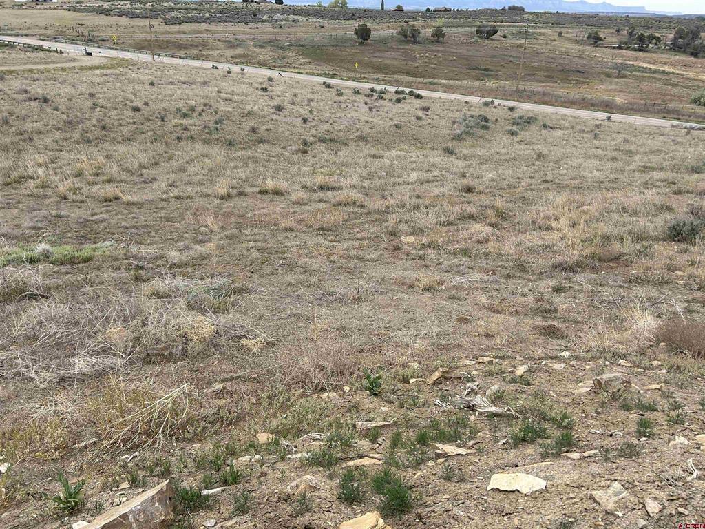 Tbd Hwy 184 Property Photo 8
