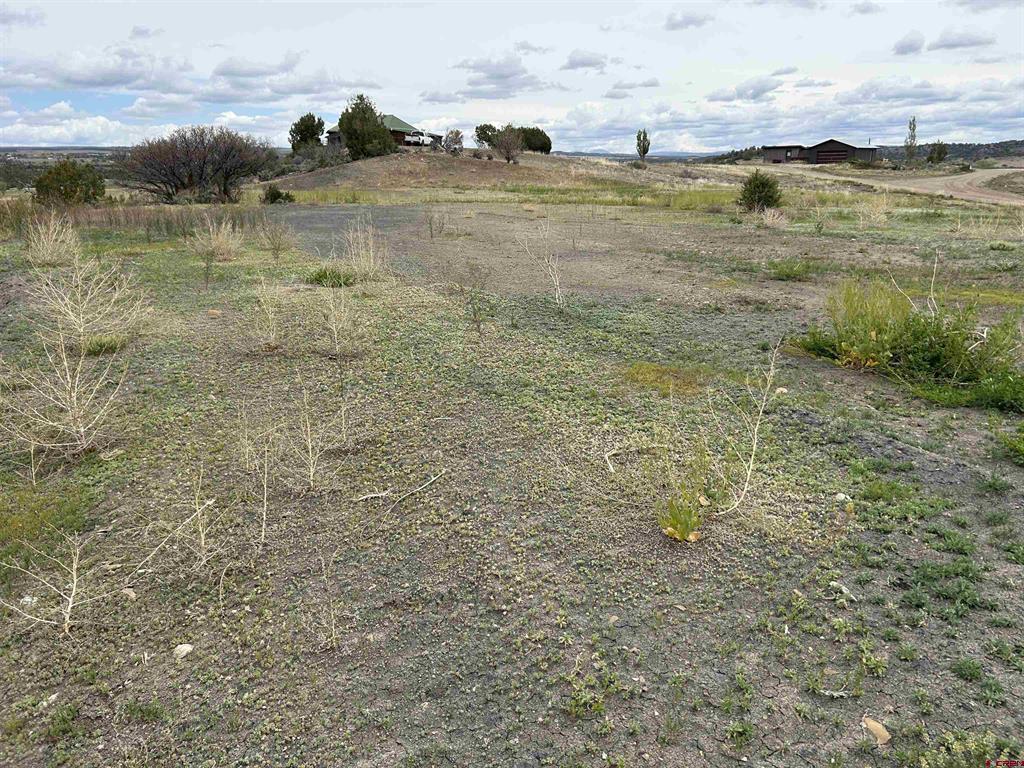 Tbd Hwy 184 Property Photo 10
