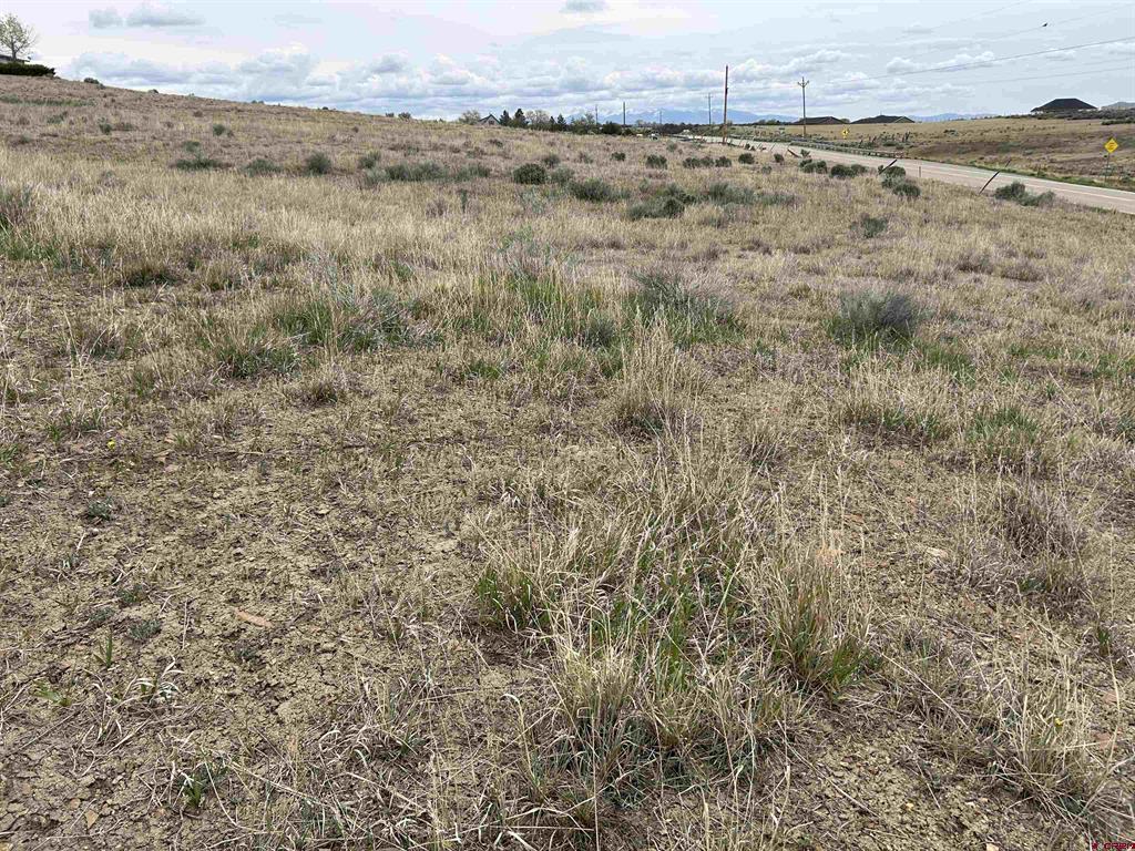 Tbd Hwy 184 Property Photo 11