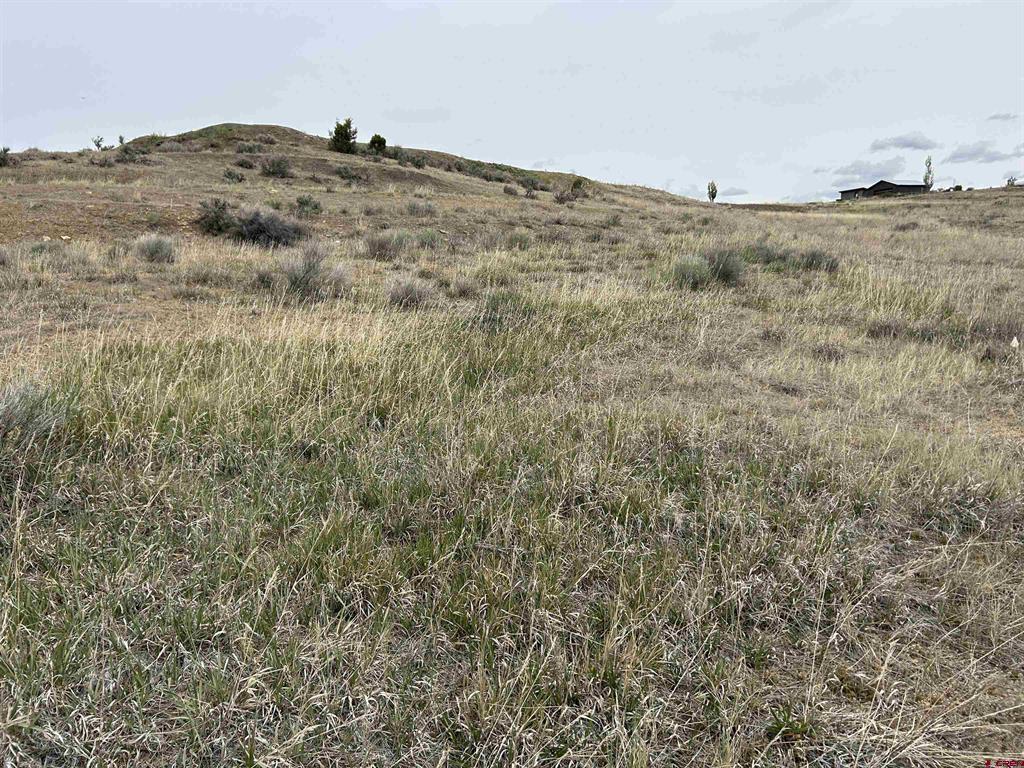 Tbd Hwy 184 Property Photo 12