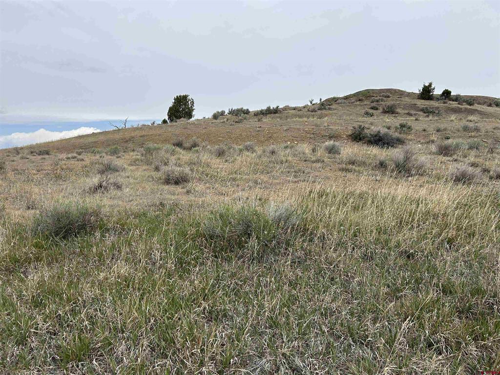 Tbd Hwy 184 Property Photo 13