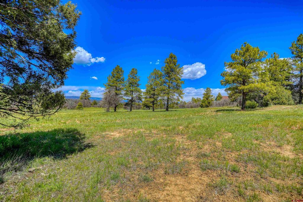 240 Paciente Place Property Photo 43