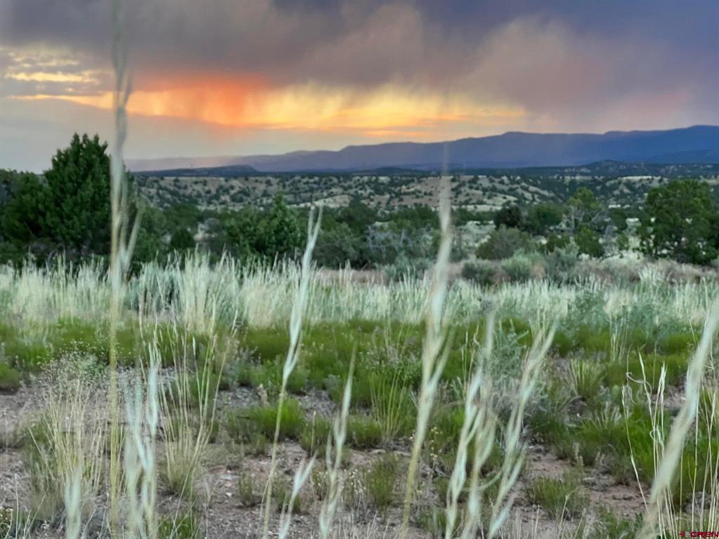 31184 Co-145 Highway Property Photo 4