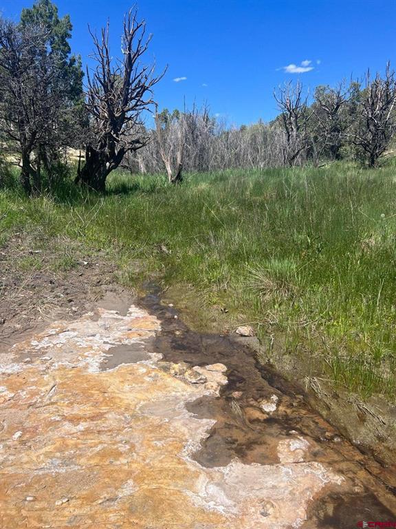 31184 Co-145 Highway Property Photo 5