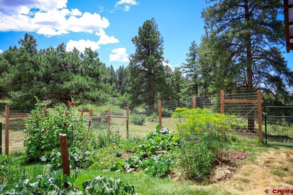 1375 County Road 326 Road Property Photo 14