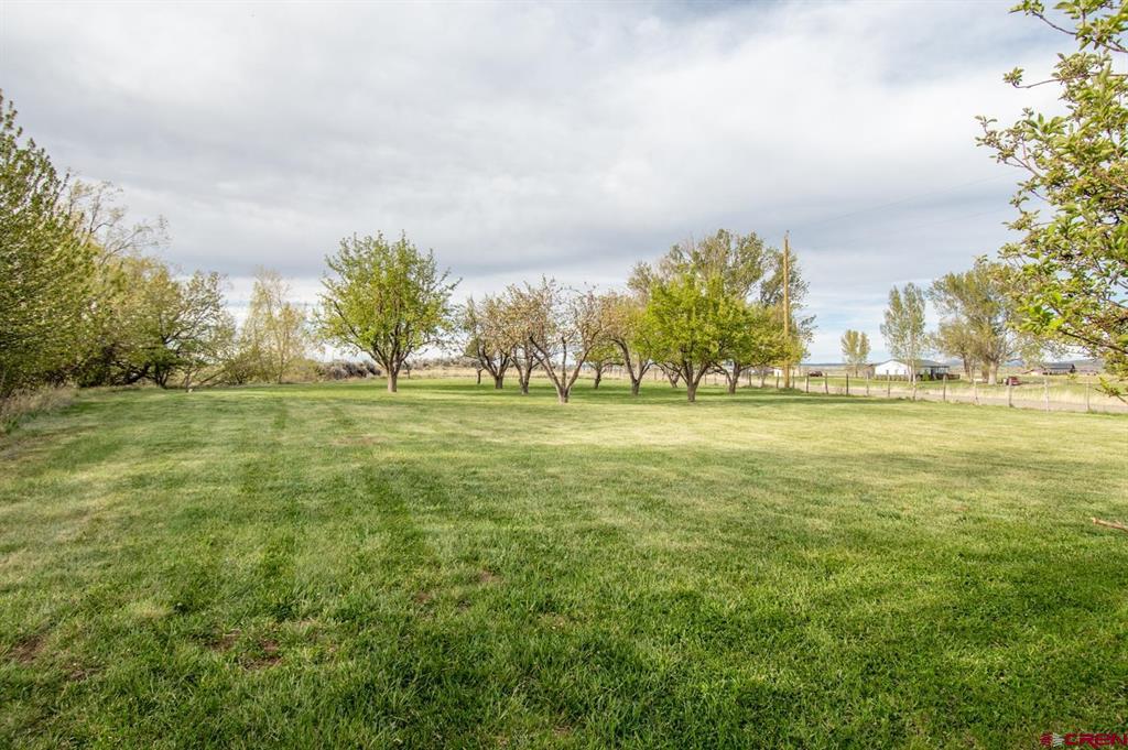 18173 Road 22 Property Photo 44