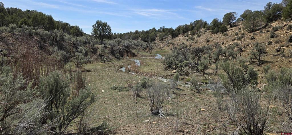 5846 St Hwy 140 Property Photo 11
