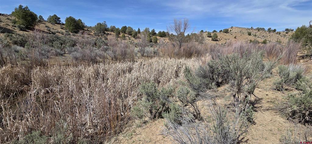 5846 St Hwy 140 Property Photo 21