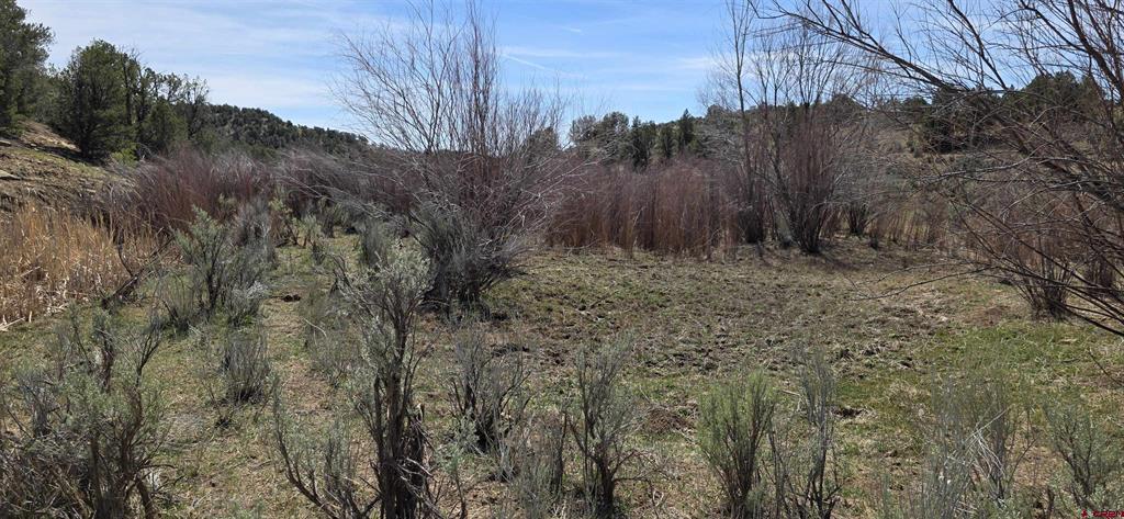 5846 St Hwy 140 Property Photo 22