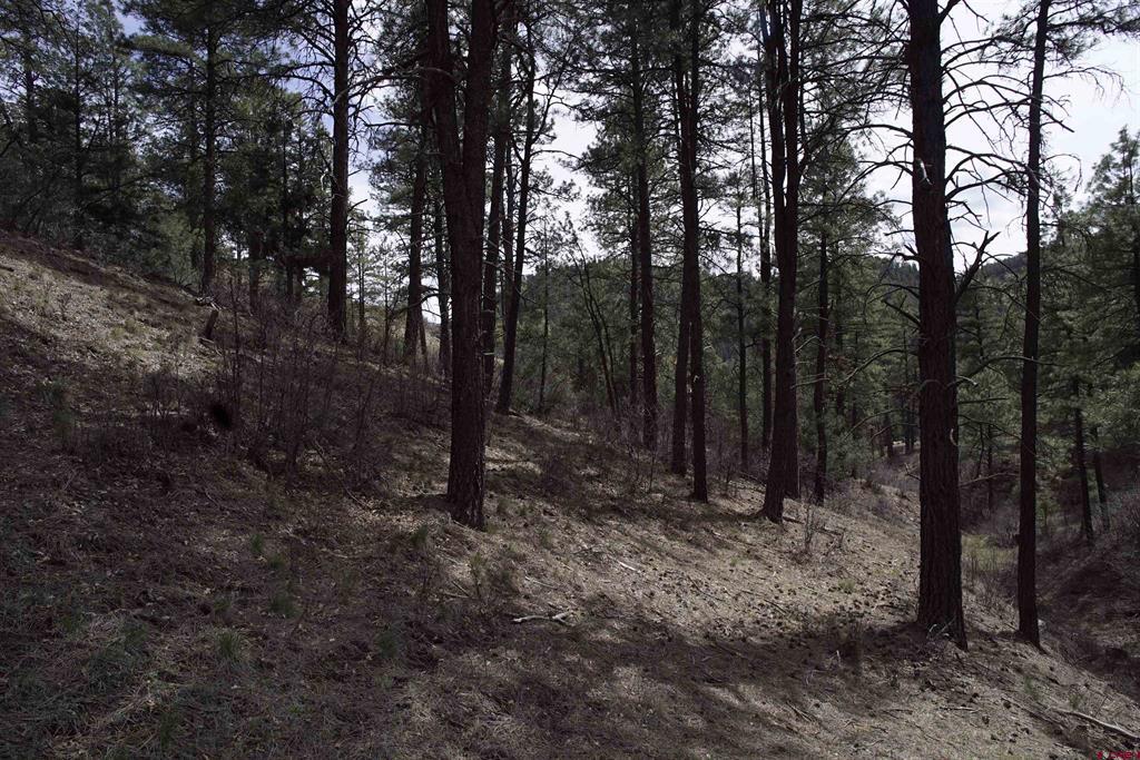 91 Hideaway Court Property Photo 1