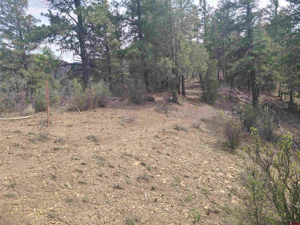 91 Hideaway Court Property Photo 21