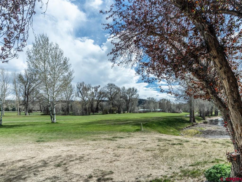 109 Shavano Drive Property Photo 32