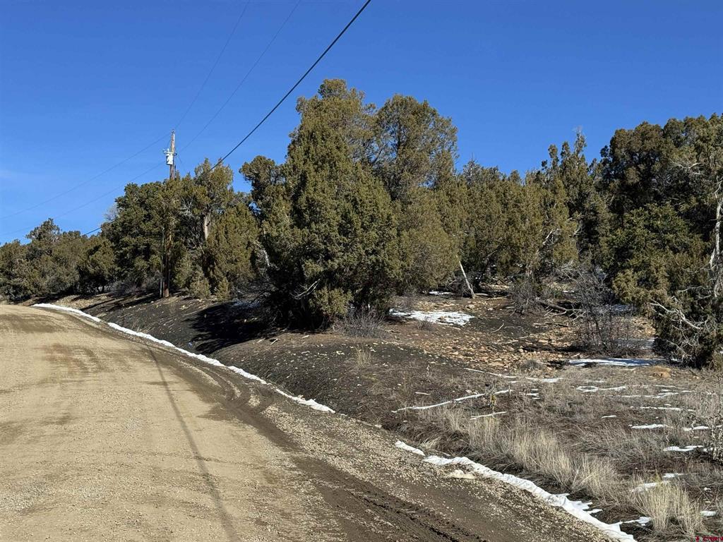 Tbd Road 41.4 Property Photo 4