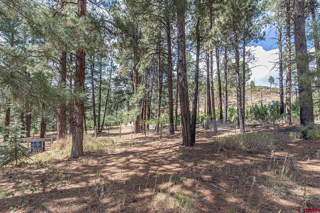 221 Vallecito Drive Property Photo 22
