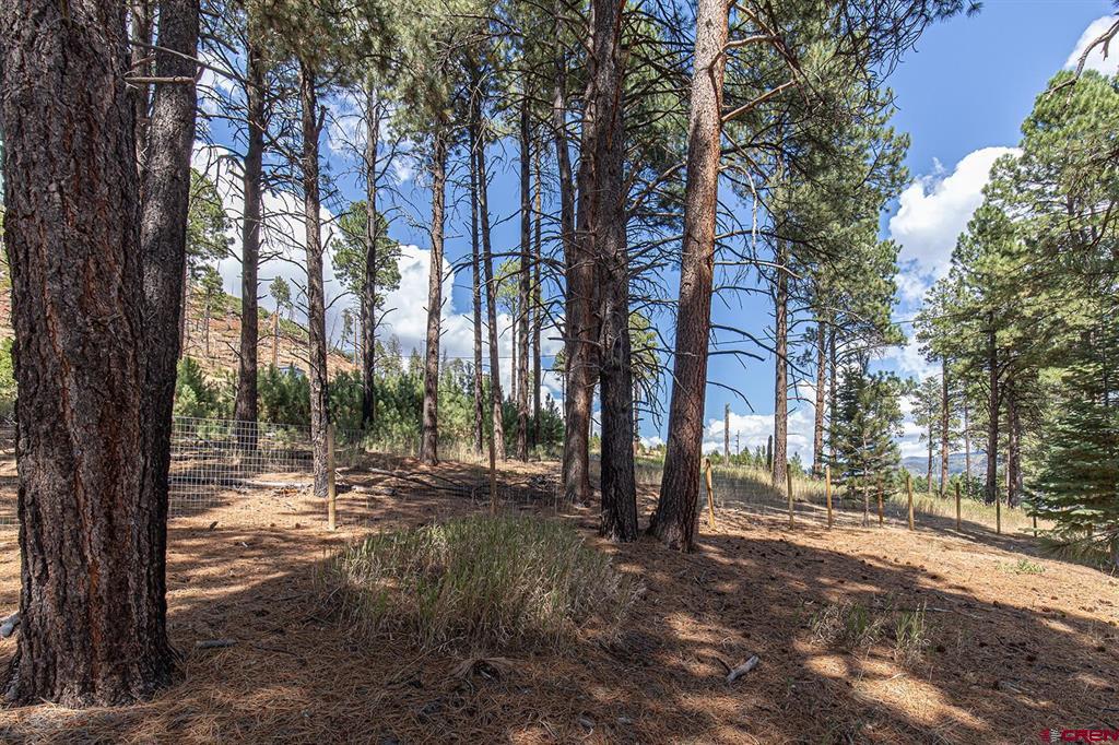 221 Vallecito Drive Property Photo 24