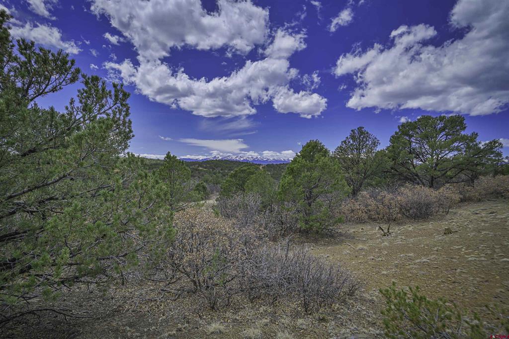 Tbd Primero Ranch Lot 45 Property Photo 3