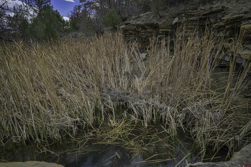 Tbd Primero Ranch Lot 45 Property Photo 6