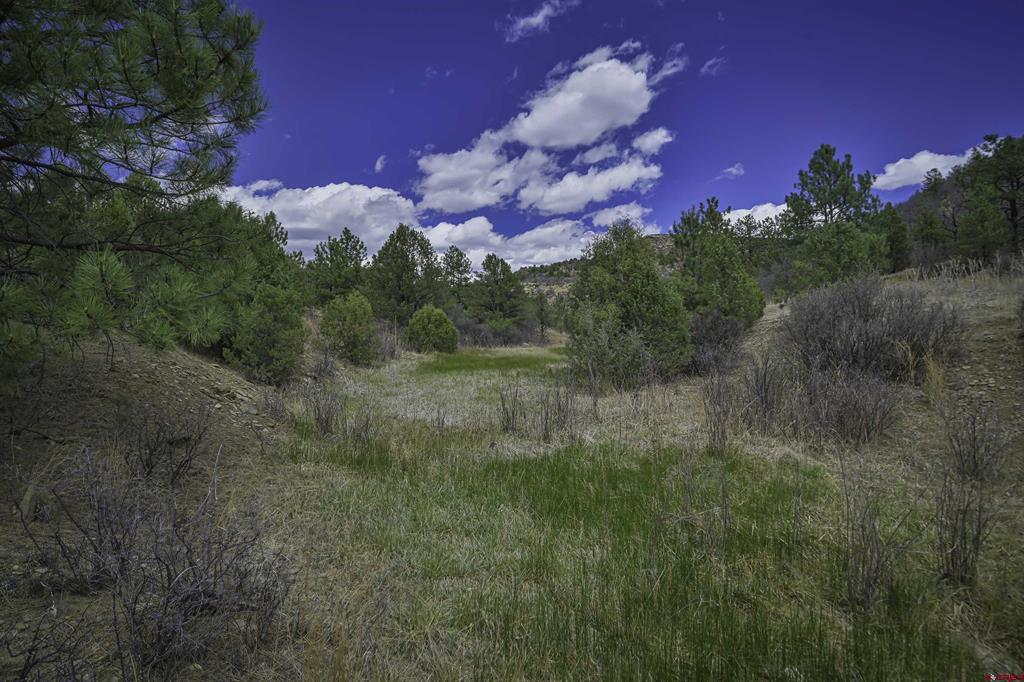 Tbd Primero Ranch Lot 45 Property Photo 10