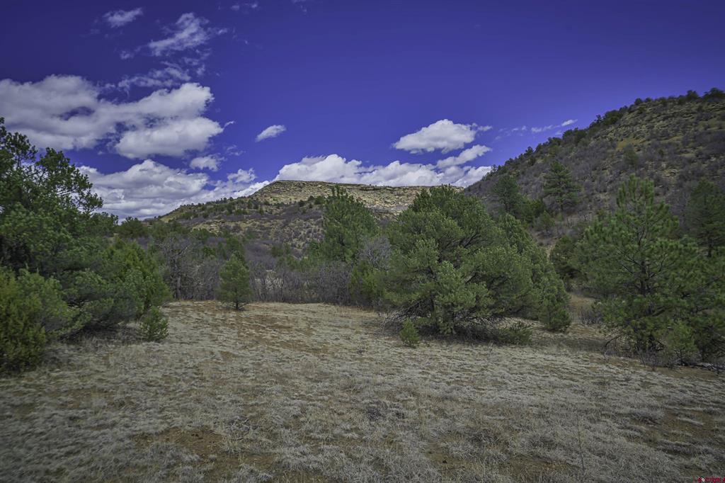 Tbd Primero Ranch Lot 45 Property Photo 11