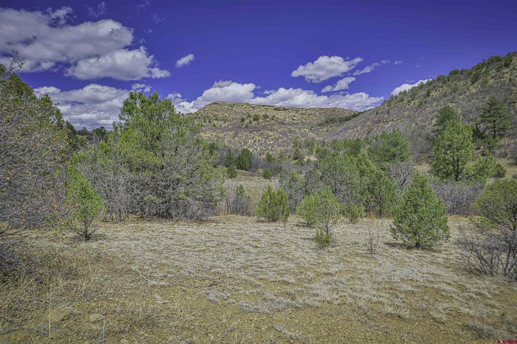 Tbd Primero Ranch Lot 45 Property Photo 16