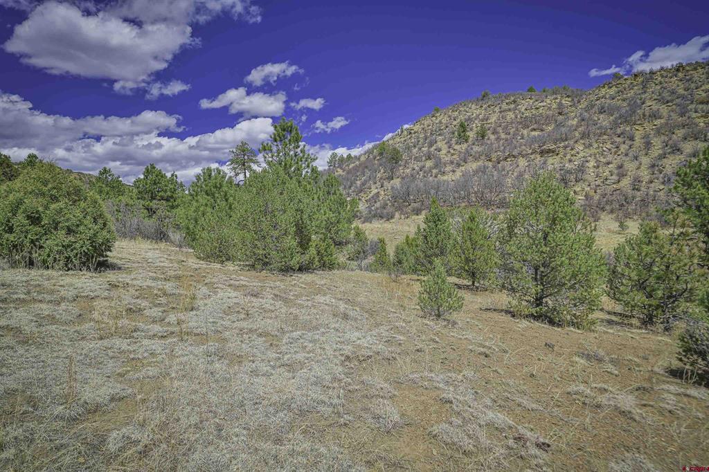 Tbd Primero Ranch Lot 45 Property Photo 18