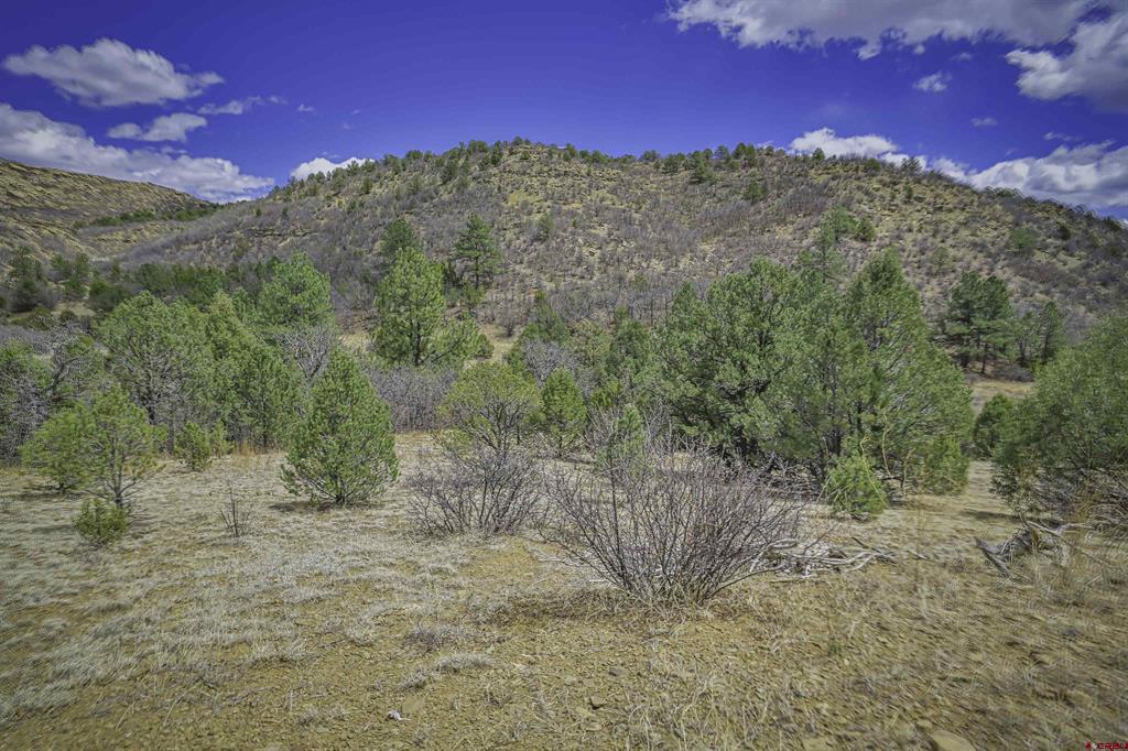 Tbd Primero Ranch Lot 45 Property Photo 22