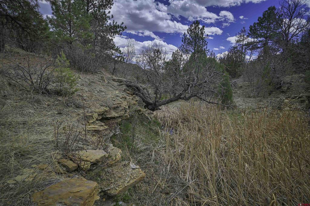 Tbd Primero Ranch Lot 45 Property Photo 25