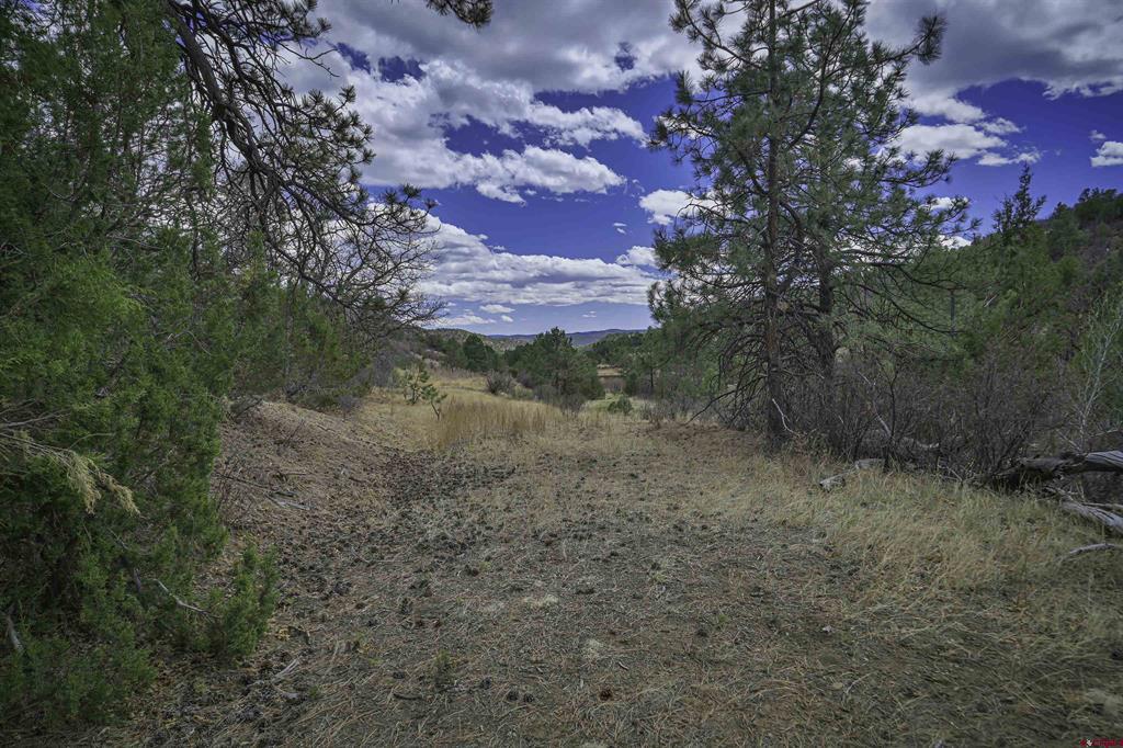 Tbd Primero Ranch Lot 45 Property Photo 27