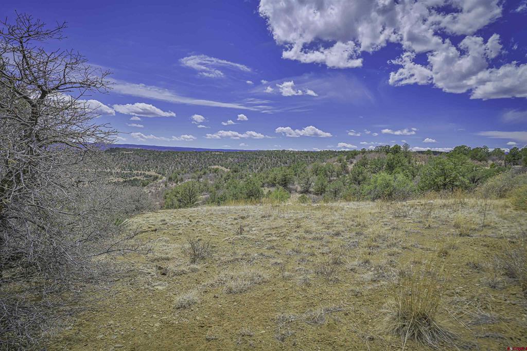 Tbd Primero Ranch Lot 45 Property Photo 29