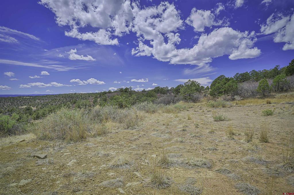 Tbd Primero Ranch Lot 45 Property Photo 31