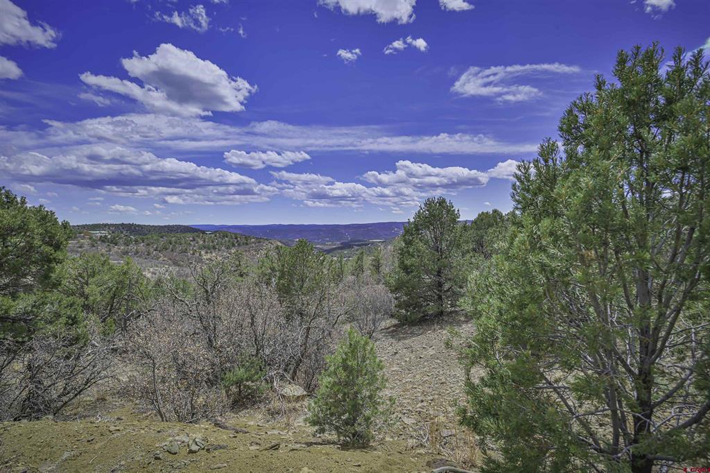 Tbd Primero Ranch Lot 45 Property Photo 33