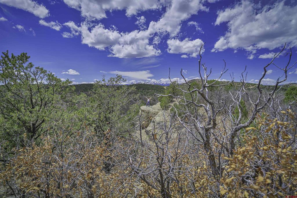 Tbd Primero Ranch Lot 45 Property Photo 34