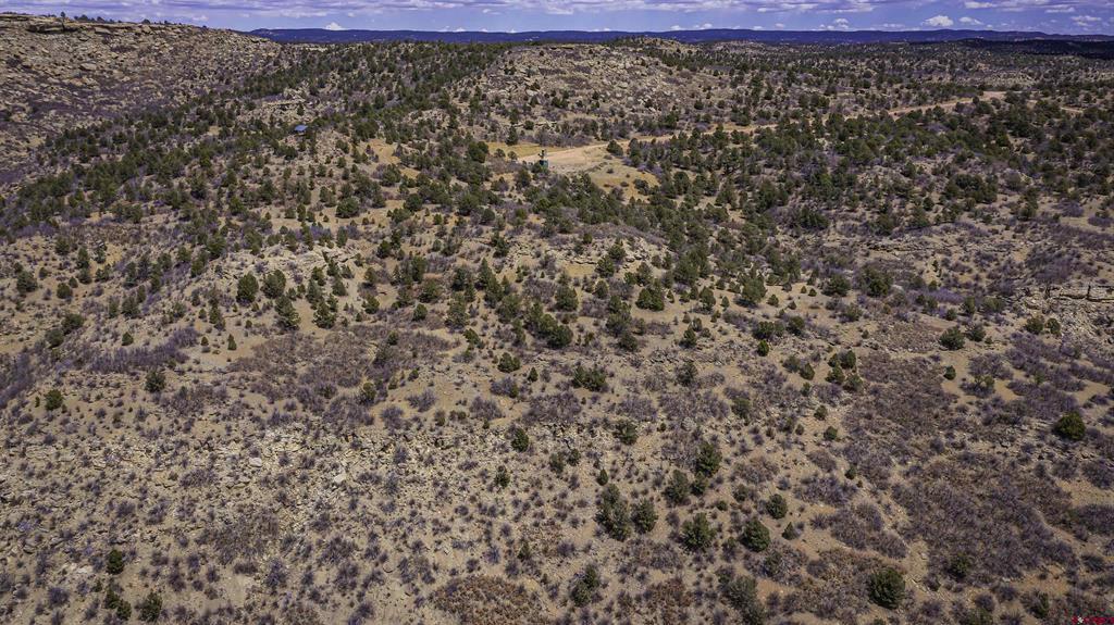 Tbd Primero Ranch Lot 45 Property Photo 37