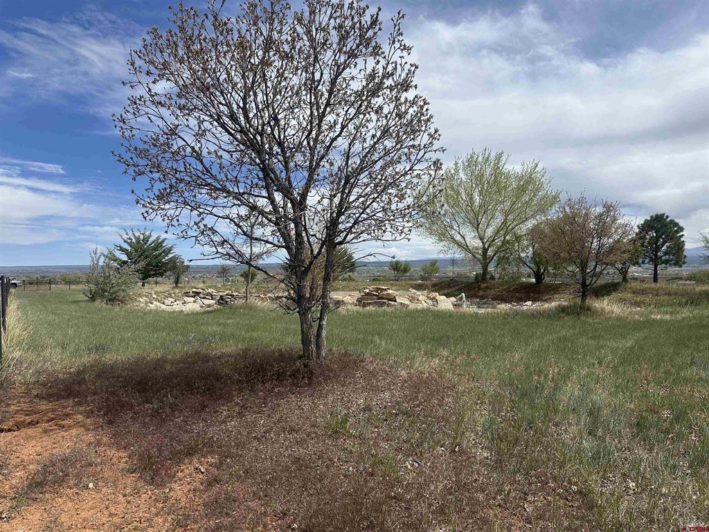 Tbd Road K.3 Property Photo 19
