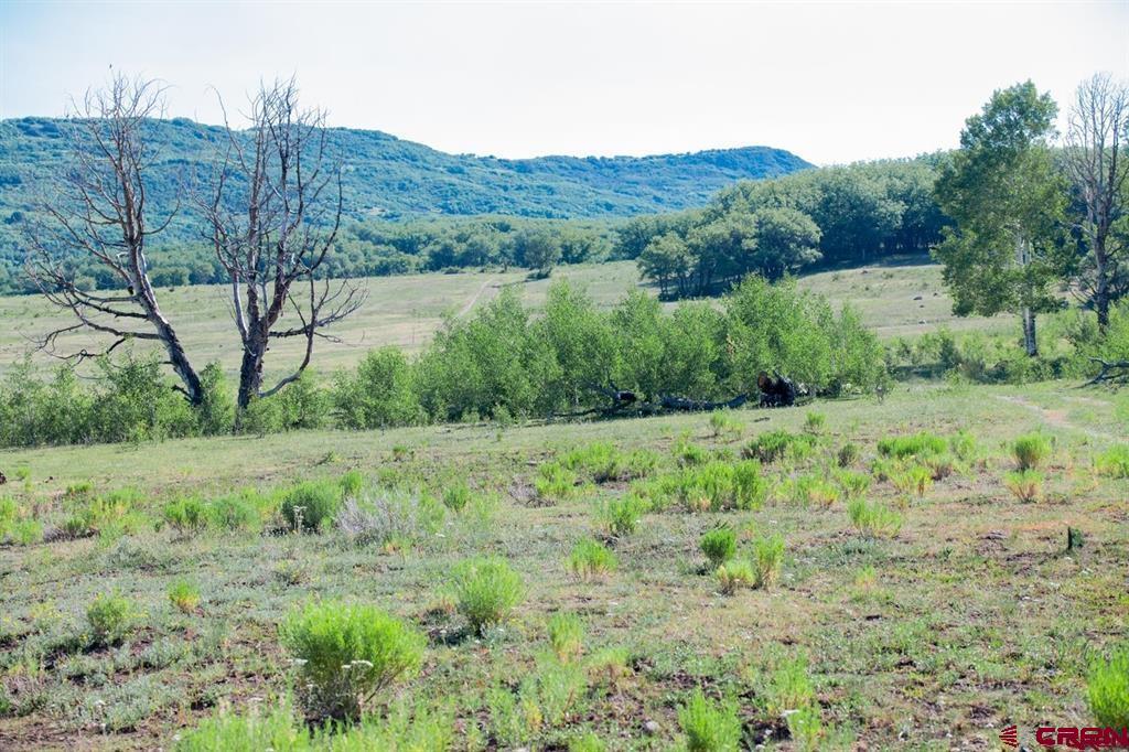 Tbd Road N Property Photo 7