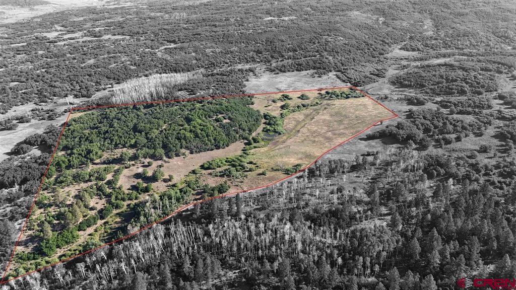Tbd Road N Property Photo 10