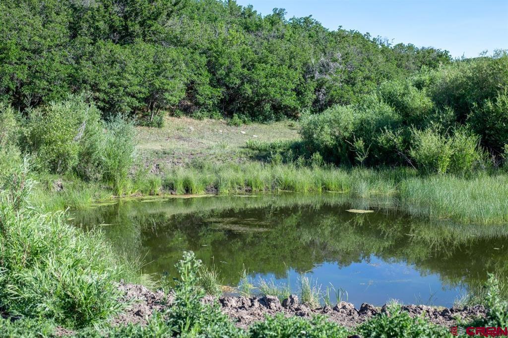 Tbd Road N Property Photo 16