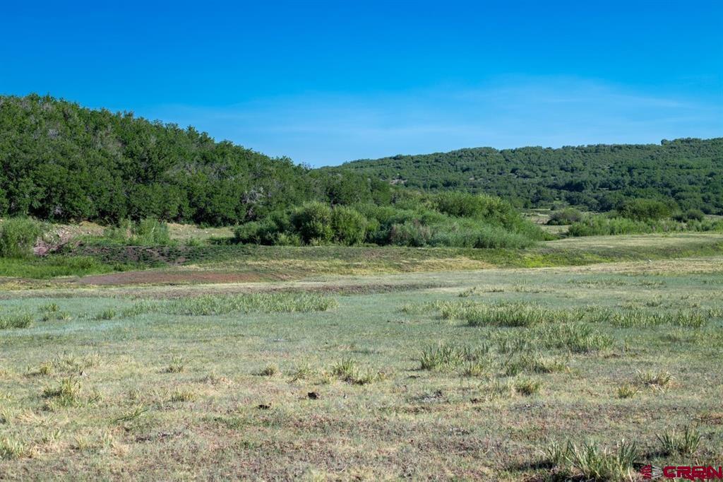 Tbd Road N Property Photo 17