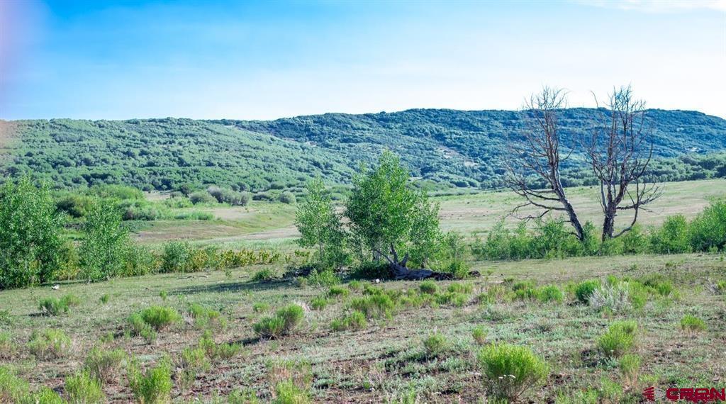 Tbd Road N Property Photo 18